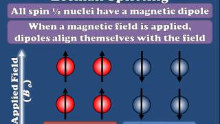 NMR  Zeeman Splitting Explained [upl. by Neumeyer]