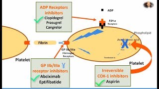 Antiplatelet Aspirin Clopidogrel and Abciximab in 2 mins [upl. by Mikeb]