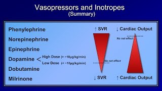 Shock Lesson 5  Pressors [upl. by Assirol]