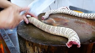 Chinese Street Food  GIANT SNAKE SOUP Guangdong China [upl. by Ner]