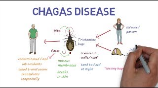 Chagas Disease  An overview [upl. by Eriha]