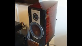 The FLAGSHIP DALI speakers Epicon 2 review [upl. by Edijabab]