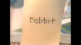 Playhouse Disney  Word of the Day  Rabbit 2000s [upl. by Eniamaj]