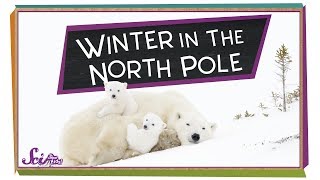 Winter at the North Pole  Winter Science  SciShow Kids [upl. by Statis]