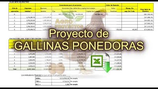 GALLINAS PONEDORAS  Corrida Financiera GRATIS  Proyectos Productivos [upl. by Alpers]