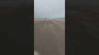 Betty on Mablethorpe beach [upl. by Ylrebmic]