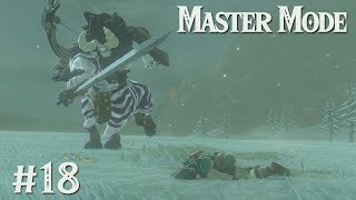 LYNEL FIGHT II Zelda BotW MASTER MODE 18 [upl. by Melly]