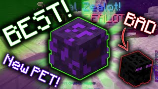 New BEST PET for ZEALOTS  Hypixel Skyblock [upl. by Elaynad]