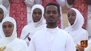 New Eritrean Ortodox Mezmur Aytegagenan By Debre Mewie [upl. by Hsirk910]