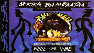 Afrika Bambaataa  Feel The Vibe Extended Mix [upl. by Mikes]