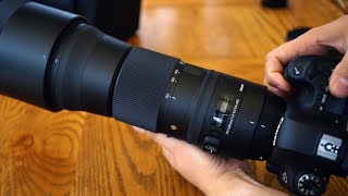 Sigma 150600mm f563 DG OS HSM C lens review with samples Fullframe amp APSC [upl. by Rafaelia360]