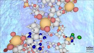 The Mechanism of Cisplatin New HD [upl. by Ardith]