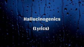 Matt Maeson  Hallucinogenics Lyrics [upl. by Vania3]