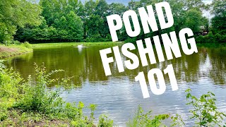 How To Fish Small Ponds Bass Fishing Tips [upl. by Dleifrag]