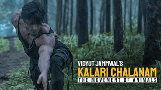 Vidyut Jammwals Kalari Chalanam  The Movement of Animals  Kalaripayattu  Martial Arts [upl. by Nylarac]