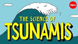 How tsunamis work  Alex Gendler [upl. by Ladnar]