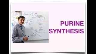 Purine Synthesis De Novo Purine Synthesis [upl. by Ettenor]