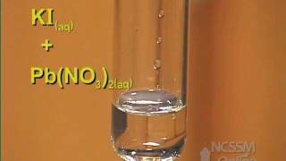 Double Displacement Lead Nitrate and Potassium Iodide [upl. by Lipp]