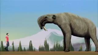 Cenozoic Animals Size Comparison By Paleoart [upl. by Timofei669]