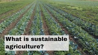 What is sustainable agriculture [upl. by Aicenav]