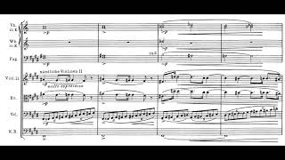 TANNHÄUSER by Richard Wagner Audio  Full Score [upl. by Nnaj]