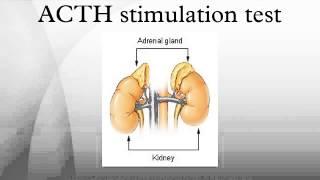 ACTH stimulation test [upl. by Kidder]