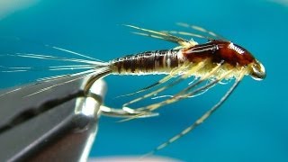 Tying a Small MayFly Nymph by Davie McPhail [upl. by Laet]