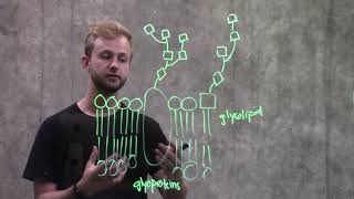 Membrane Carbohydrates [upl. by Nolos992]