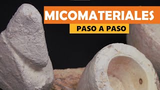 Biofabricación con micelio del hongo Ganoderma  Mycomaker [upl. by Mahmud424]