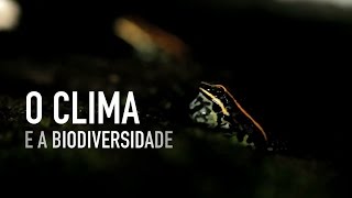 O Clima e a Biodiversidade [upl. by Markman]