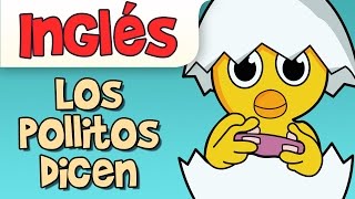 LOS POLLITOS DICEN PIO PIO canciones infantiles [upl. by Birecree]