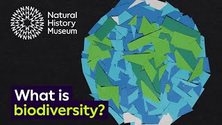 What is biodiversity  Natural History Museum [upl. by Norvol]