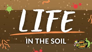 Life in the Soil [upl. by Elka345]