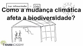 Como a mudança climática afeta a biodiversidade  Biologia  Khan Academy [upl. by Nagaer]