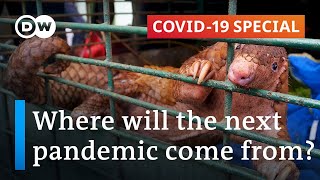 Zoonotic diseases Can we prevent the next pandemic  Covid19 Special [upl. by Appilihp]