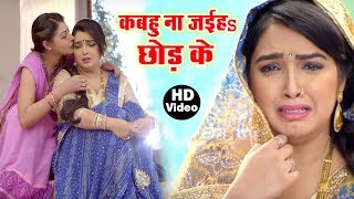 Aamrapali Dubey का सबसे दर्द भरा गीत  Dinesh Lal Yadav Nirahua Bhojpuri Sad Song [upl. by Werd]