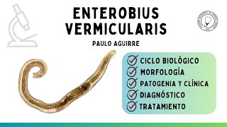 Enterobius vermicularis [upl. by Ttenna]