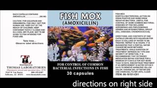 Fish Antibiotics in a Collapse by Dr Bones [upl. by Corny747]