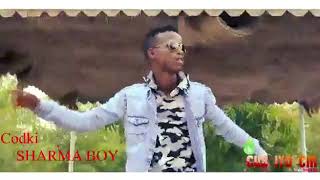 Sharma boy  Gabdhaha Somaliyeed  Hees Cusub Official Video 4kSamiirPro [upl. by Nynnahs]