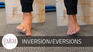 Ankle InversionEversion [upl. by Aleakim]