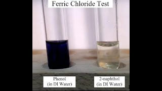 Ferric Chloride Test for Phenols [upl. by Sucitivel650]