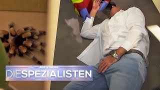 Schwindel Dauererektion Ein gefährlicher Spinnenbiss  Auf Streife  Die Spezialisten  SAT1 TV [upl. by Apple954]