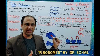 Ribosomes Structure and Functions [upl. by Yornoc]