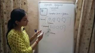 BIOLOGY Lecture 3  Chromatin Chromosome and Chromatid  Genetics Biology [upl. by Paine]