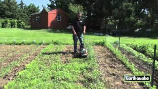 Removing weeds with a MC43 Mini Cultivator [upl. by Eveivaneg]