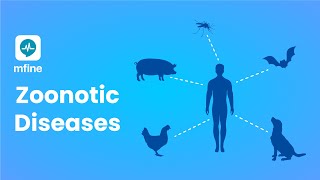 Zoonotic Diseases  Diseases that are Passed from Animals to Humans  MFine [upl. by Ytirahc545]