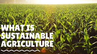 What is Sustainable Agriculture And How We Practice It [upl. by Dever234]