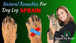 Natural Remedies for Dog Leg Sprains  Natural Pain Relief [upl. by Aisital]