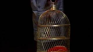 The Monty Python Dead Parrot Sketch  1989 version [upl. by Noillid170]