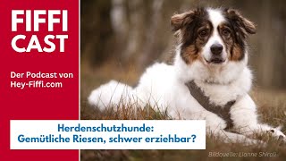 Herdenschutzhunde Gemütliche Riesen schwer erziehbar [upl. by Paco]